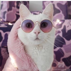 Meet your Posher, Siachico